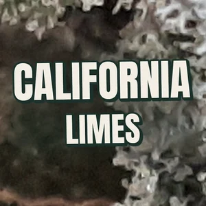 California Limes Cannabis Strain
