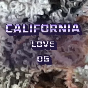 California Love OG Cannabis Strain