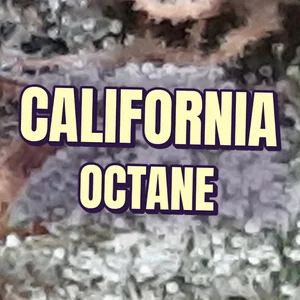 California Octane Cannabis Strain