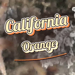 California Orange Cannabis Strain