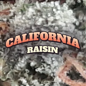 California Raisin Cannabis Strain