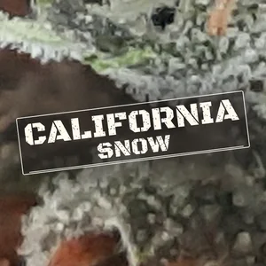 California Snow Cannabis Strain