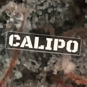 CaliPo Cannabis Strain
