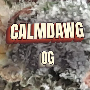 Calmdawg OG Cannabis Strain