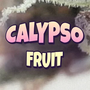 Calypso Fruit Cannabis Strain