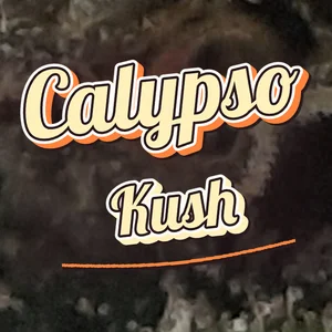 Calypso Kush Cannabis Strain