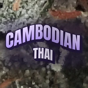Cambodian Thai Cannabis Strain