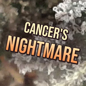 Cancer's Nightmare Cannabis Strain