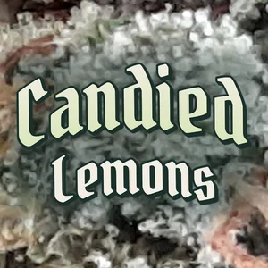 Candied Lemons Cannabis Strain
