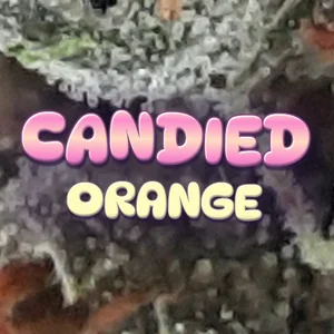 Candied Orange Cannabis Strain