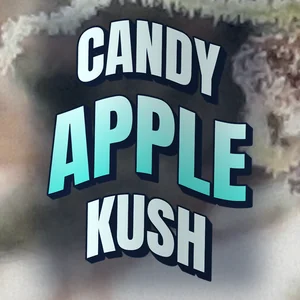 Candy Apple Kush Cannabis Strain