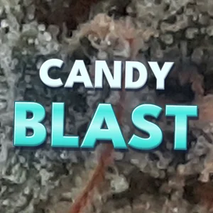 Candy Blast Cannabis Strain