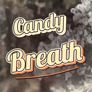 Candy Breath Cannabis Strain