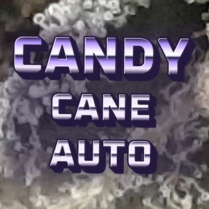 Candy Cane Auto Cannabis Strain
