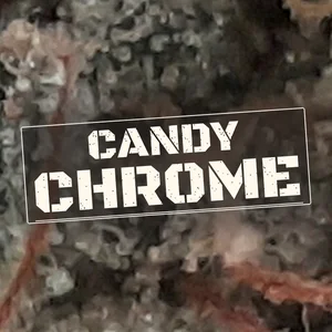 Candy Chrome Cannabis Strain