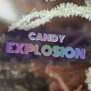 Candy Explosion Cannabis Strain