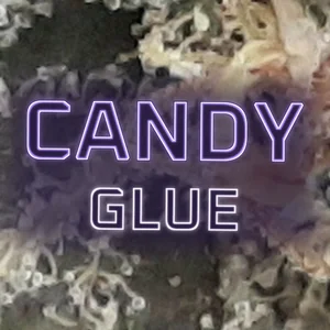 Candy Glue Cannabis Strain