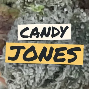 Candy Jones Cannabis Strain