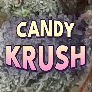 Candy Krush Cannabis Strain