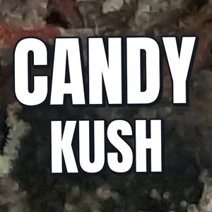 Candy Kush Cannabis Strain