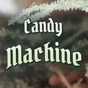 Candy Machine Cannabis Strain
