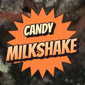 Candy Milkshake Cannabis Strain