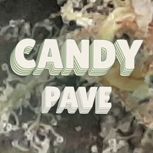 Candy Pave Cannabis Strain