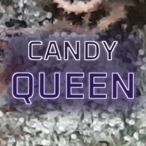 Candy Queen Cannabis Strain