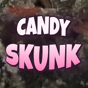 Candy Skunk Cannabis Strain