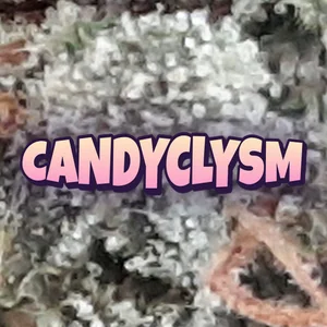 Candyclysm Cannabis Strain
