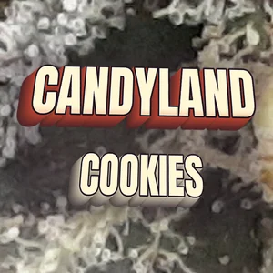 Candyland Cookies Cannabis Strain