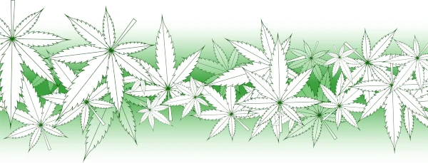 cannabis leaf art