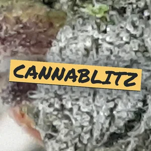 Cannablitz Cannabis Strain