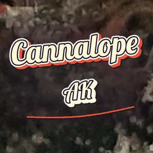 Cannalope AK Cannabis Strain