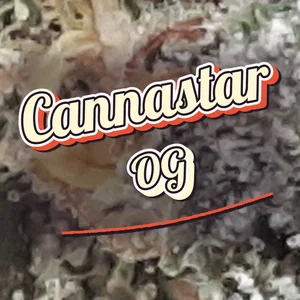Cannastar OG Cannabis Strain