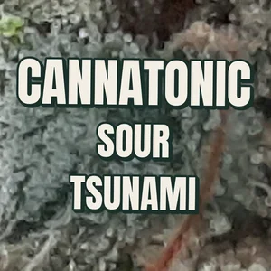 Cannatonic Sour Tsunami Cannabis Strain