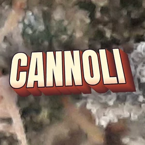 Cannoli Cannabis Strain