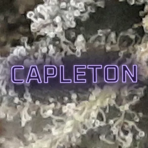 Capleton Cannabis Strain