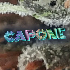Capone Cannabis Strain