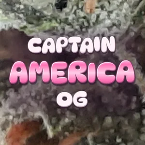 Captain America OG Cannabis Strain