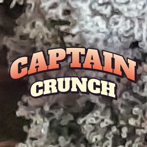 Captain Crunch Cannabis Strain