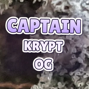 Captain Krypt OG Cannabis Strain
