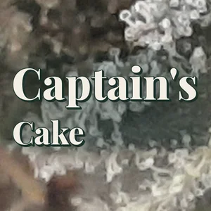 Captain's Cake Cannabis Strain