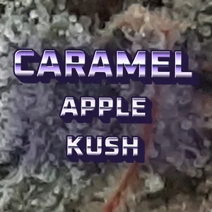 Caramel Apple Kush Cannabis Strain