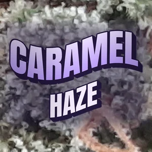 Caramel Haze Cannabis Strain