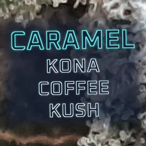 Caramel Kona Coffee Kush Cannabis Strain
