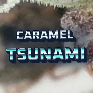 Caramel Tsunami Cannabis Strain
