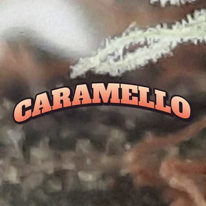 Caramello Cannabis Strain