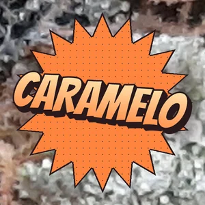 Caramelo Cannabis Strain