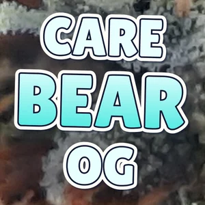 Care Bear OG Cannabis Strain